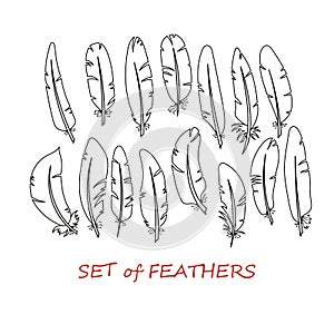 Vector Ornate Set of Stylized and Abstract Feathers.