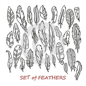 Vector Ornate Set of Stylized and Abstract Feathers.
