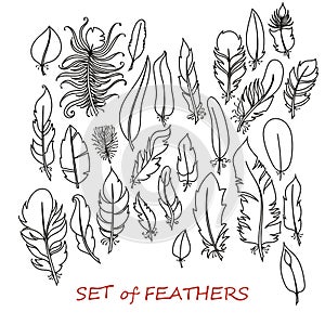 Vector Ornate Set of Stylized and Abstract Feathers.
