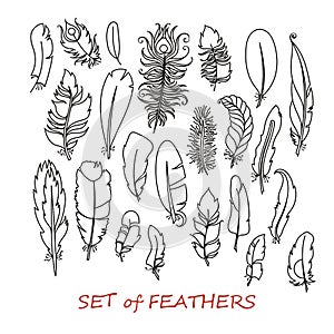 Vector Ornate Set of Stylized and Abstract Feathers.