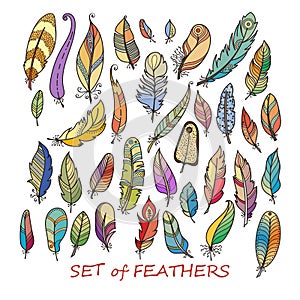 Vector Ornate Set of Stylized and Abstract Feathers.