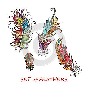 Vector Ornate Set of Stylized and Abstract Feathers.