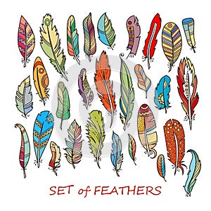 Vector Ornate Set of Stylized and Abstract Feathers.