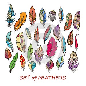 Vector Ornate Set of Stylized and Abstract Feathers.