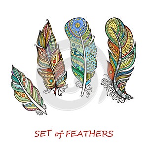 Vector Ornate Set of Stylized and Abstract Feathers.