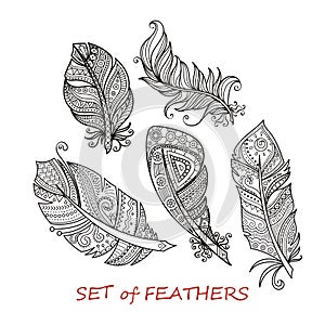 Vector Ornate Set of Stylized and Abstract Zentangle Feathers.