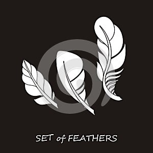 Vector Ornate Set of Stylized and Silhouette Abstract Feathers.