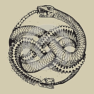 Vector Ouroboros symbol tattoo design flash