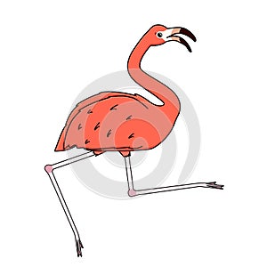 Vector outline cartoon pink peach flamingo isolated on white background. Doodle animal is dancing or jumping, joyful mood, full of