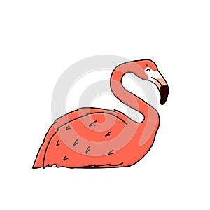 Vector outline cartoon pink peach flamingo isolated on white background. Doodle animal lies on the floor, asleep, legs are not