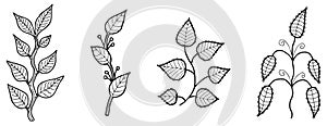 Vector outline drawing of different abstract twigs with decorative leaves, design elements for decorsting backgrounds,greeting