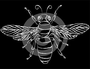Vector outline drawing of silhouette decorative cartoon fly