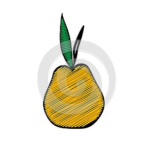 Vector outline illustration of one yellow pear with green leaves isolated on a white background