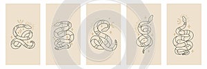 Vector outline snakes set of mystical magic objects- moon and stars. Celestial magic line serpents in trendy style