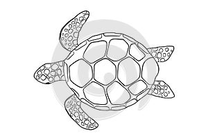 Vector outline swimming turtle isolated on white background. Hand drawn line doodle illustration ocean animal