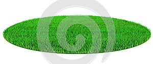 Vector oval green lawn grass texture