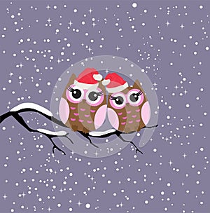 Vector Owls in Santa Hat In Winter Background.