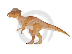 Vector pachycephalosaurus dinosaur