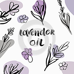 Vector packaging design elements and templates for lavender oil labels and bottles