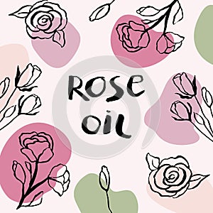 Vector packaging design elements and templates for rose oil labels and bottles