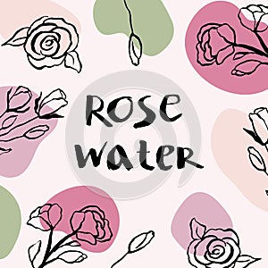 Vector packaging design elements and templates for rose water labels and bottles