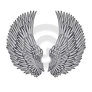 Vector pair of angel wings on white