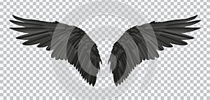 Vector pair of black realistic wings on transparent background