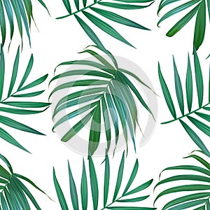 Vector palm frond. Tropical leaves seamless pattern.