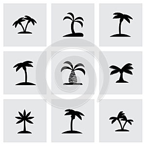 Vector palm icon set