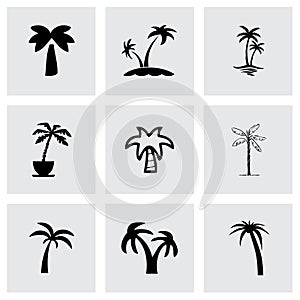 Vector palm icon set