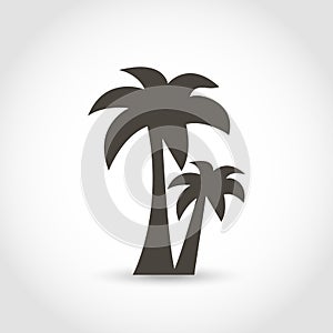 Vector palm tree black silhouette isolated on a white background