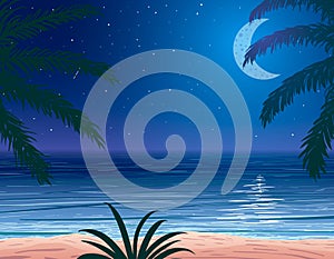 Vector palm trees leaves on ocean coast background at night