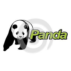Vector panda image. Animal Logotype