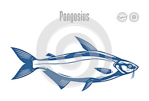 Vector pangasius fish illustration