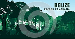 Vector panorama of Belize with jungle raimforest, tapir and ancient Mayan ruin