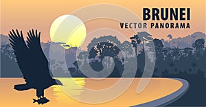 Vector panorama of Brunei Darussalam with white bellied sea eagle