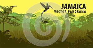 Vector panorama of Jamaica with jungle and hummingbird photo
