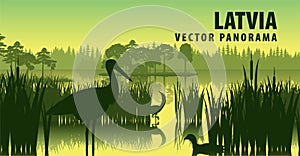Vector panorama of Latvia with black stork