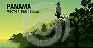 Vector panorama of Panama with jungle raimforest with harpy eagle