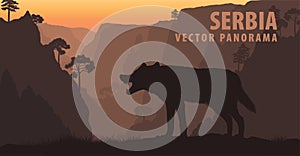 Vector panorama of Serbia with gray wolf in Lazar`s Canyon