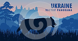 Vector panorama of Ukraine with grey wolf