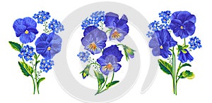 Vector Pansies and Forget-me-nots for postcards,