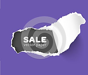 Vector paper hole with space for text, ripped edges, dark copyspace