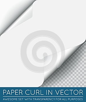 Vector Paper Page Curl with Shadow