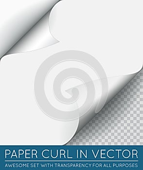 Vector Paper Page Curl with Shadow .