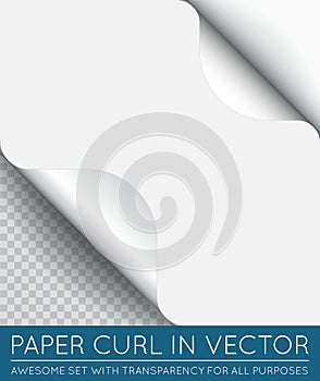 Vector Paper Page Curl with Shadow .