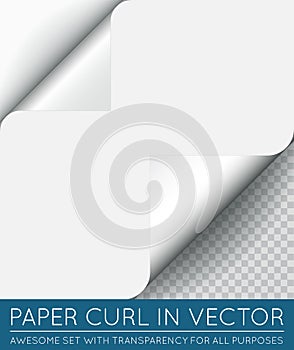 Vector Paper Page Curl with Shadow Isolated.