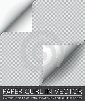 Vector Paper Page Curl with Shadow Isolated.