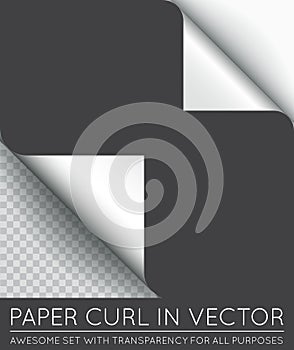 Vector Paper Page Curl with Shadow Isolated.