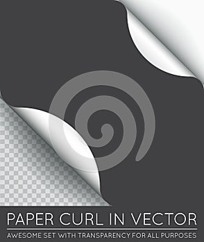 Vector Paper Page Curl with Shadow Isolated.